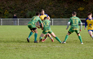 692df6b9d2195_RCI1FOUGERES002.jpg