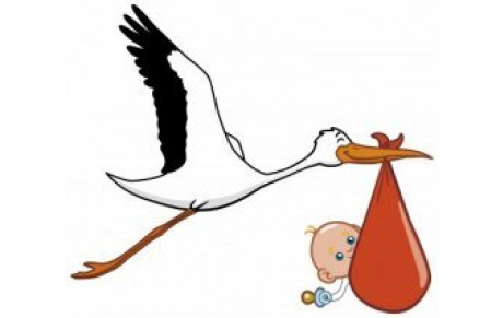 Félicitations à Julien et Aurelie